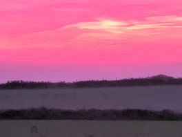 Red skies