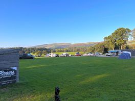Tent field