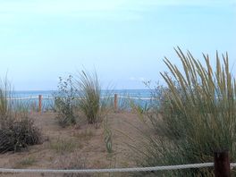 Beach at pineda de mar