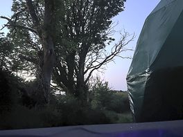 Beautiful view from the hot tub at night!
