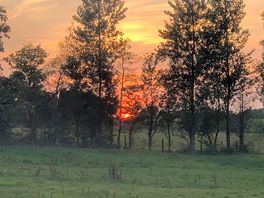 Stunning sunsets.