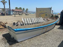 Bbq fish on the beach.