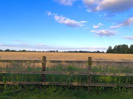 Lovely view