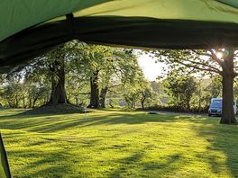 View from the tent