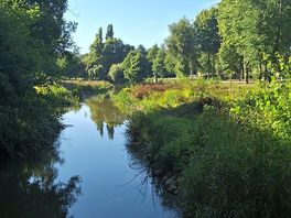 L'etang