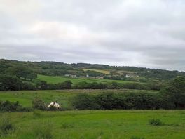 View from dog walking field