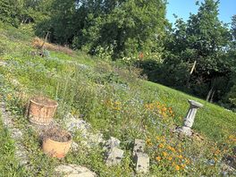Flower beds