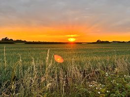 Sunset over the fields next to us