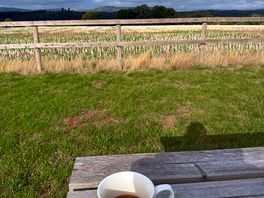 Morning coffee