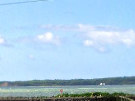 View from our caravan