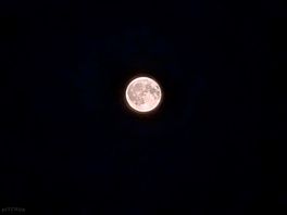 Full moon
