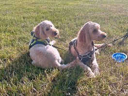 They loved people watching