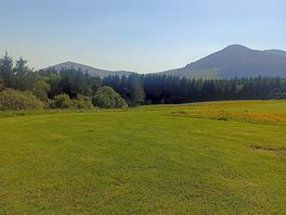 View from my pitch