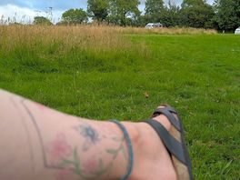 Peaceful meadow