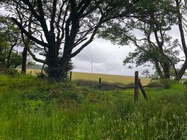 Walking nearby