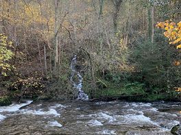 On opening our motorhome door this was the view……..