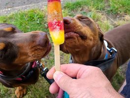 Cooling off