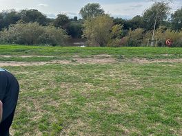 Our plot