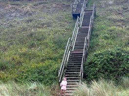 The steps