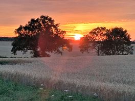 View from campsite