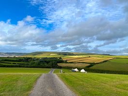 View from top field