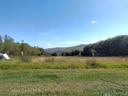 View from the near side of willow field.