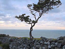 On way up to viewpoint