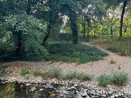 The river on the campsite