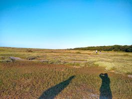 Walking on the footpath by the marshes late into the evening. superb.