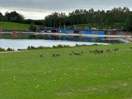 Lake