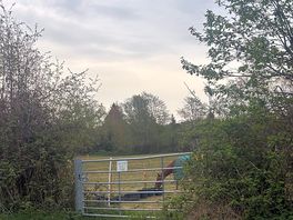 Surrounded by county side.