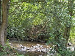 Peace alongside the river