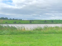 View of river from where parked.