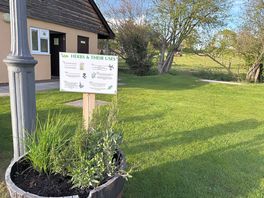 Herb garden really helped add additional flavour to our dinners