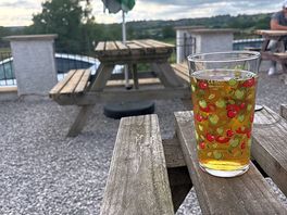 Fox and goose beer garden