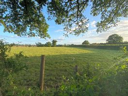 View from my tentbox