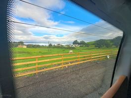 View from the van. lots of horses around.