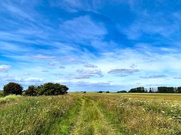 Walks near the campsite. check out the king charles the 3rd way its awesome.