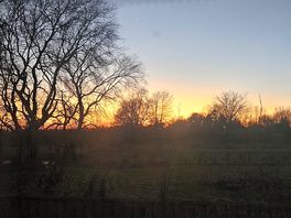 View from the caravan