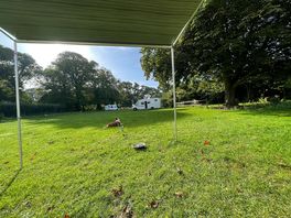 View from the van