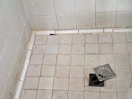 Disgusting showers