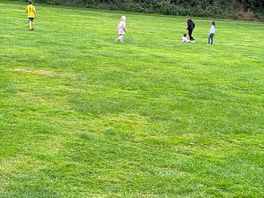 Field