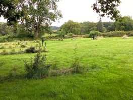 Caravan pitches