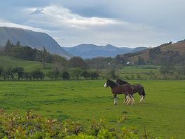 View after a short walk toward cockermouth