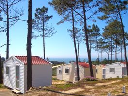 Cabins