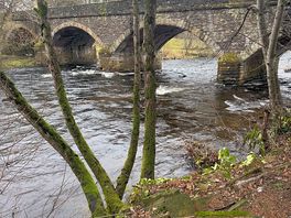River earn on the grounds of site