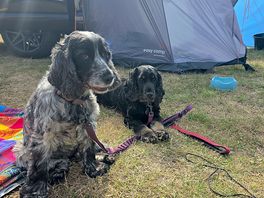 Happy campers