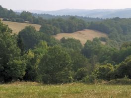 Paysage du matin