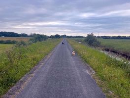 Tarka trail