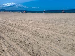 Local beach